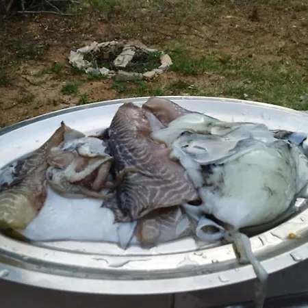 Mushroom House - Sleeps 4 - Pets Ok - Parking Casa vacanze *