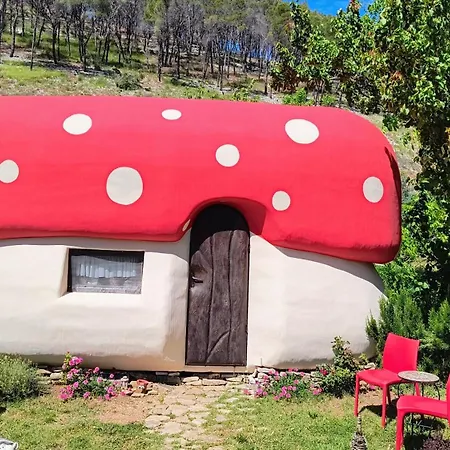 Mushroom House - Sleeps 4 - Pets Ok - Parking