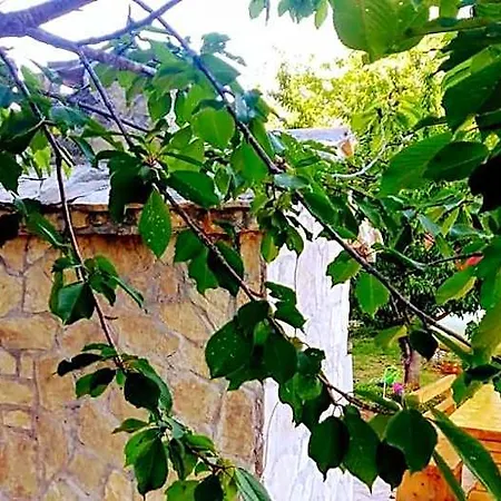 Mushroom House - Sleeps 4 - Pets Ok - Parking Nyaraló Skradin
