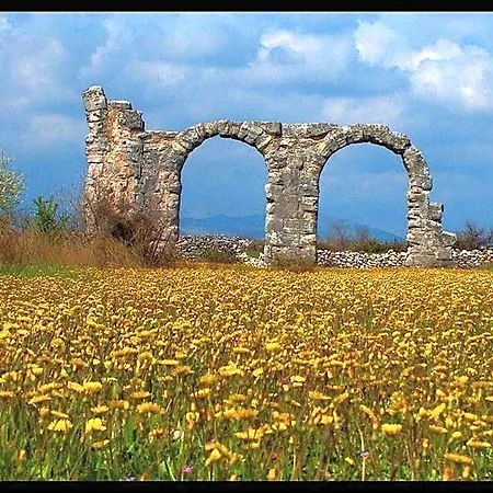 Nyaraló Mushroom House - Sleeps 4 - Pets Ok - Parking