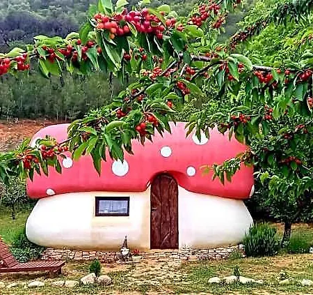 Mushroom House - Sleeps 4 - Pets Ok - Parking Nyaraló *