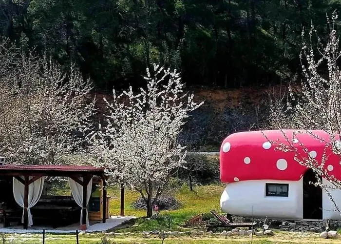 بيت للعطل Mushroom House - Sleeps 4 - Pets Ok - Parking